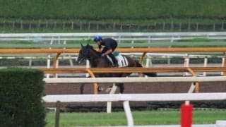 アルナシーム、中京記念2週前追い切り速報/栗東トレセンニュース