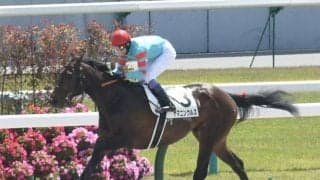 【プロキオンS出走馬・騎手確定】ヤマニンウルス＆武豊騎手、スレイマン＆西村淳也騎手など16頭