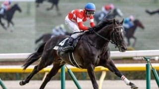 【七夕賞出走馬・騎手確定】レッドラディエンス＆戸崎圭太騎手、キングズパレス＆松岡正海騎手など15頭
