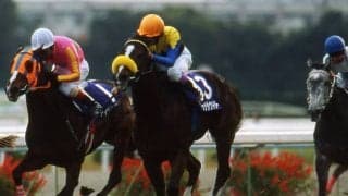 歴代1位はトゥザヴィクトリーの仔で6億円 セレクトセール高額取引馬ランキング