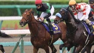 初年度産駒は2頭のみ！ キタノコマンドール産駒が今週末JRA初出走