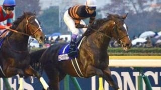 中内田厩舎期待の3億円馬 川田将雅騎手との黄金タッグで初戦から魅せる