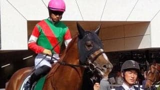 惜敗続きのヴァンヤール プロキオンSで今度こそ初タイトルを