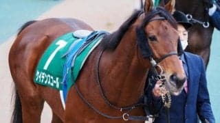 兄に重賞馬2頭を持つ期待馬 川田将雅騎手とのコンビでデビューV狙う