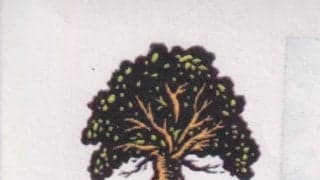 南アフリカW杯でケンカに明け暮れた日々(1)｢治安が悪い｣ヨハネスブルグ都市部をグルグル、｢銃を持った｣ガードマンが24時間警戒する宿から会場へ