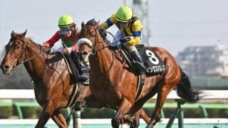 【七夕賞枠順確定】キングズパレスは6枠11番、レッドラディエンスは3枠4番