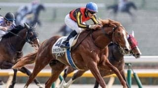 “七夕の七夕賞”で「7枠」「7番」「7人気」の成績は？ 過去5回を振り返る