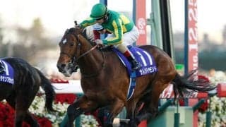 重賞ウイナーがもっとも多く出た年は？ セレクトセールの記録を深堀り