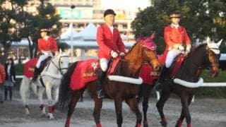 大井の誘導馬セイントメモリーが17歳で死す 現役時代は重賞6勝の活躍