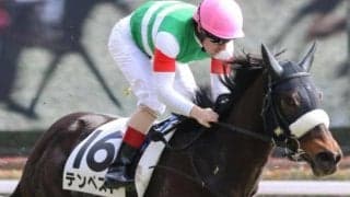 母＆兄3頭がGI馬の超良血馬 待望の2勝目へ