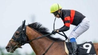 【函館記念想定馬・騎手】ホウオウビスケッツ、トップナイフなど22頭