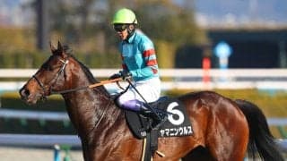 武豊騎手 今週の騎乗馬…無敗馬ヤマニンウルスが出走