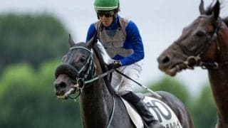 【今日の注目ポイント】マリーンSでナチュラルハイがオープン初勝利を狙う