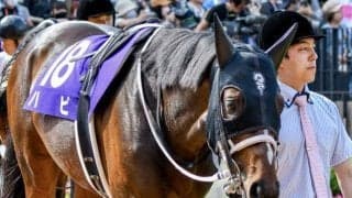 ハピと併せ馬したリトルハピ 既走馬相手にデビューVなるか
