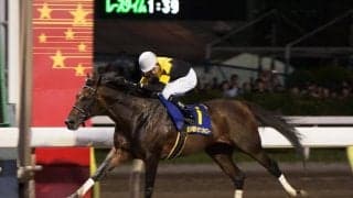 【TCK】セイントメモリーが17歳で死す…大井の誘導馬として活躍