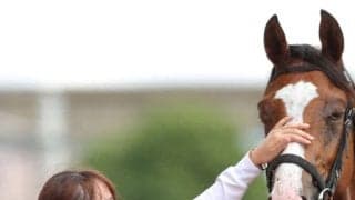 永島まなみはJRA通算100勝にリーチ…女性ジョッキー騎乗馬