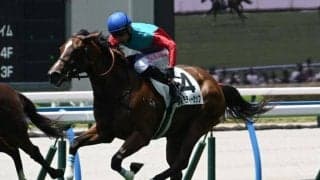 【小倉5R新馬戦結果】デクラレーションオブウォー産駒タマモティーカップが初陣飾る