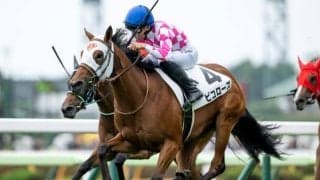 【函館5R新馬戦結果】サトノダイヤモンド産駒ピコローズが抜け出してV