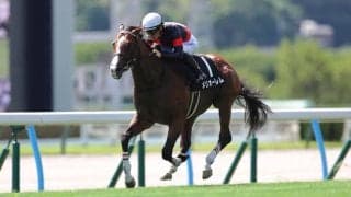 【西部スポニチ賞】単勝1.5倍メリオーレムが断然の支持に応える