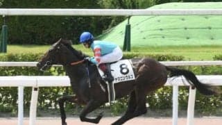 【プロキオンS予想】高期待値が見込めるのは5歳以上の馬！ 豊富な経験が好走の鍵を握る