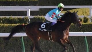 【プロキオンS前日オッズ】ヤマニンウルスが1.7倍で1番人気