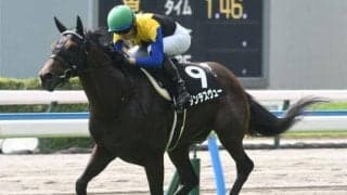 【七夕賞前日オッズ】枠連7-7は24.1倍、同じ組み合わせの馬連12-13は255.6倍