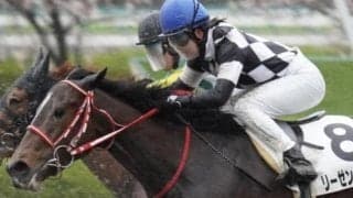 横浜DeNA三浦大輔監督の所有馬 転厩初戦で勝利なるか/彦星賞