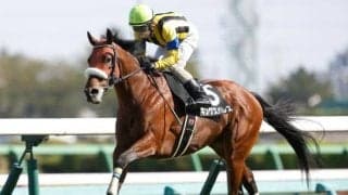 【今日の注目ポイント】福島で七夕賞と小倉でプロキオンS