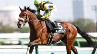 【七夕賞予想】サマー2000シリーズ開幕 ハンデで難解な“七夕決戦”を制す馬は？