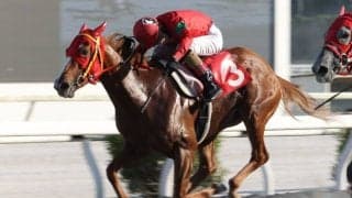 【高知・ヴェガ特別】グレートヒエンが接戦を制する…永森「地力が違った」