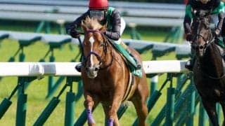 福島芝は内＆前有利 バビット＆先行勢が狙い目か