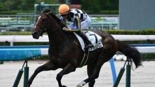 【小倉5R新馬戦結果】エピファネイア産駒ジョバンニが押し切りV