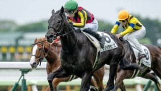 【函館5R新馬戦結果】キズナ産駒マジックサンズが人気に応えて快勝