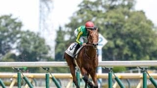 【函館2歳S】サトノカルナバル、リリーフィールドらが登録