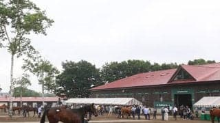 日本最大級のサラブレッドセリ市 四半世紀の歴史持つ「セレクトセール」とは何？