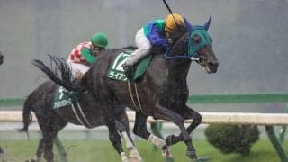 【盛岡・せきれい賞】芝からダートへ変更！ライアンが抜け出す…大井マンダリンヒーローは2着