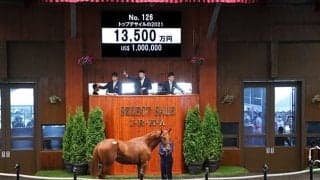 セレクトセールは上場番号126番に注目！ 3年連続でGI/JpnI馬誕生の超ラッキーナンバー