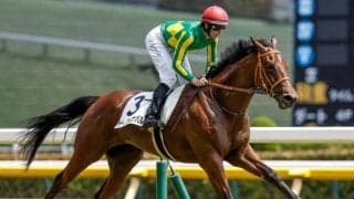 【函館2歳S見どころ】初戦大楽勝のサトノカルナバルが2歳重賞制覇一番乗りを狙う