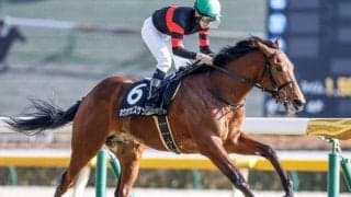 【函館記念見どころ】充実一途のホウオウビスケッツに期待