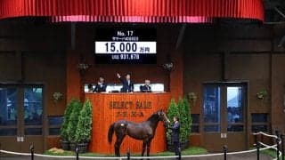 【セレクトセール2024】サマーハの2023は1億5000万円 ディープインパクト、ソダシなどを所有する金子真人ホールディングス(株)が落札