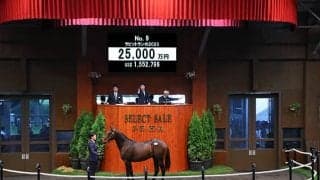 【セレクトセール2024】ラビットランの2023は2億5000万円 窪田芳郎氏が落札
