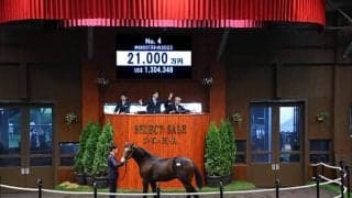 【セレクトセール2024】ホロロジストの2023は2億1000万円 TNレーシングが落札