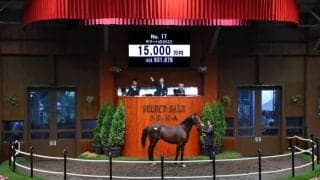 【セレクトセール2024】サマーハの23は金子真人HDが落札…兄はシャケトラ