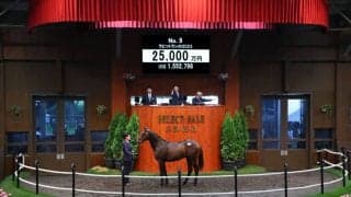 【セレクトセール2024】コントレイル産駒が2億5000万円で落札