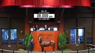 【セレクトセール2024】コーステッドの2023は3億9000万円 「ダノン」の冠名で知られるダノックスが落札