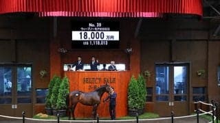 【セレクトセール2024】ウィープノーモアの2023は1億8000万円 「サトノ」の冠名で知られる里見治氏が落札