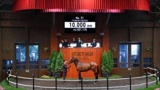 【セレクトセール2024】クリソベリル産駒が1億円…藤田晋氏が落札