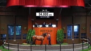 【セレクトセール2024】ウマ娘・藤田晋氏が3億超えでエピファネイア産駒を落札