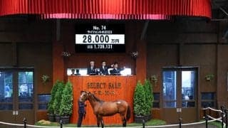 【セレクトセール2024】ライツェントの2023は2億8000万円 半兄フリームファクシ所有の金子真人ホールディングス(株)が落札