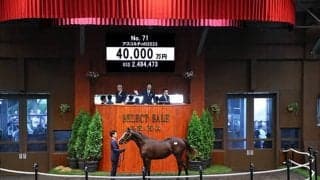 セレクト今年初の4億円台 アスコルティの2023は4億円 「ダノン」の冠名で知られるダノックスが落札